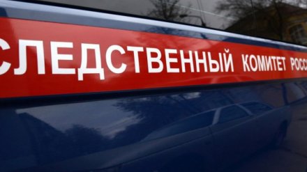 Воронежский СК возбудил дело о гибели малышей 2 и 3 лет при пожаре