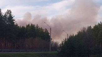 В Воронежской области снова загорелась свалка в Лисках