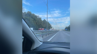 Пять автомобилей столкнулись под Воронежем