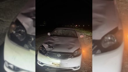 Под Воронежем 21-летний парень насмерть сбил пешехода
