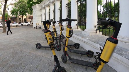 Стала известна дата открытия школы вождения электросамокатов в Воронеже