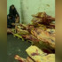 Воронежцам показали склад, где хранились 1,5 тонны опасного мяса