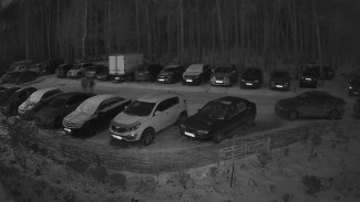 Жителей воронежского микрорайона шокировало мистическое видео с уличной камеры 
