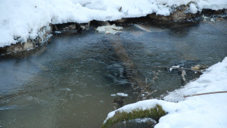 Воронежцам напомнили об опасности весеннего льда на водоёмах