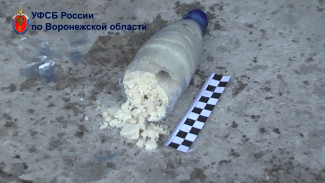 Воронежца признали виновным в незаконном изготовлении взрывных устройств