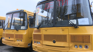 Воронежская область получит 50 школьных автобусов