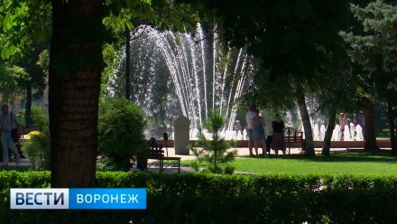 В Воронеж начали поиск подрядчика для обслуживания городских фонтанов