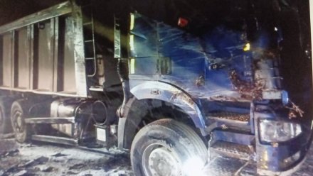 В воронежском райцентре опрокинулся грузовик: 2 человека пострадали