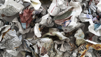 С начала 2025 года в Воронежской области обнаружили 16 незаконных свалок 