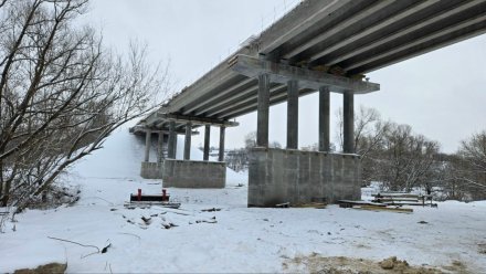 Воронежцам пообещали досрочно отремонтировать мост через Ведугу