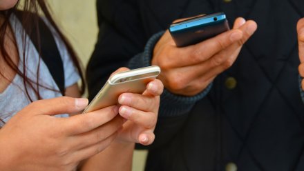 Воронежцев пообещали обеспечить доступом к wi-fi во время отключений мобильного интернета