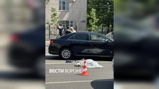Виновник ДТП остался на свободе после гибели пешехода на зебре в центре Воронежа