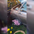 Жители Лисок сняли на видео последствия ДТП с въехавшим в забор авто