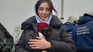 Сидевшего 6 дней в яме под лестницей котёнка спасли в Воронеже