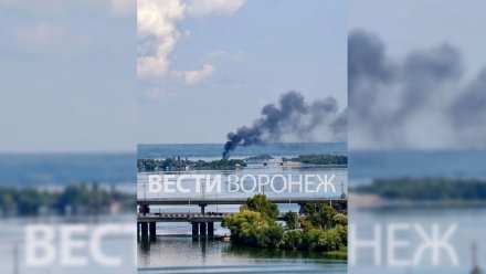 Воронежцы сообщили о сильном пожаре у железнодорожного моста