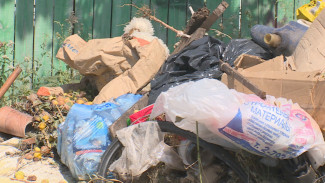 В Воронежской области подсчитают, сколько мусора выкидывают жители