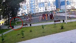 Полиция проведёт проверку из-за видео с избиением школьника на детской площадке в Воронеже