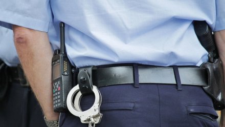 В Воронежской области продавщица контрафактных шуб попыталась дать взятку полицейскому