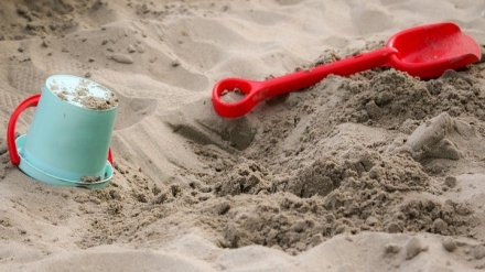 В Воронежской области в 2019 году неблагополучным семьям уделят повышенное внимание