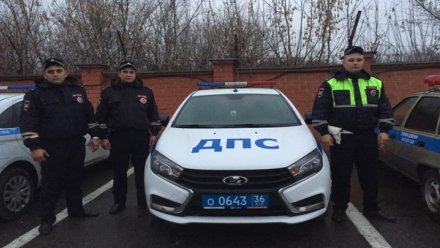 В Воронеже полицейские догнали троллейбус, чтобы вернуть старушке сумку 