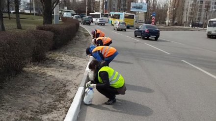 Варламов одобрит? Перекрасьте чёрно-белые бордюры в Воронеже