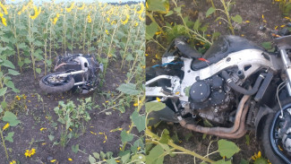В Воронежской области мотоцикл вылетел в кювет и опрокинулся: водитель погиб