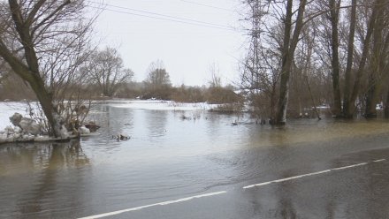 Под Воронежем из-за половодья перекрыли мост