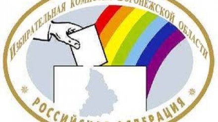 В Воронежской области вновь назначены выборы