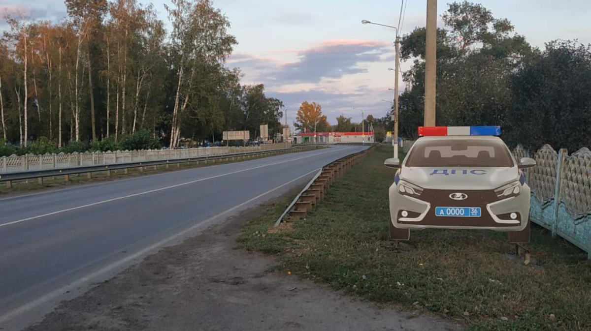 В Воронежской области установили первый фальшивый экипаж ДПС с мигалкой –  Новости Воронежа и Воронежской области – Вести Воронеж