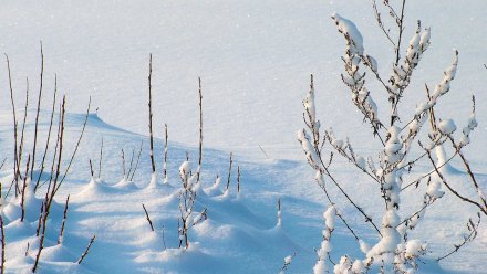 В выходные в Воронежской области похолодает до -10