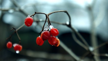 Прогноз погоды на 12.12.2019