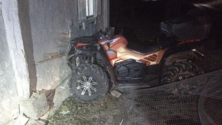 В Воронежской области две девушки пострадали после поездки на снегоболотоходе