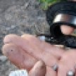 Число раненых при теракте ВСУ в Воронеже выросло до 27