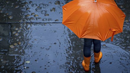 Новая рабочая неделя в Воронеже начнётся с дождей