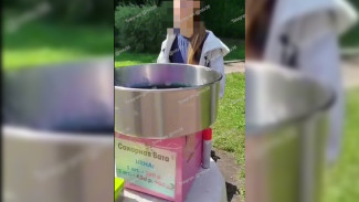 Девушка обработала дихлофосом аппарат для сахарной ваты в Центральном парке