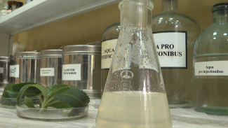 Что изобрели молодые учёные воронежских вузов