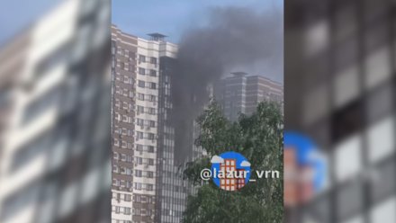 В МЧС прокомментировали пожар в воронежском ЖК «Лазурный»