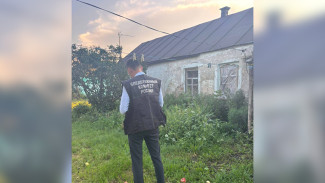 Жительница Панинского района зарезала любовника