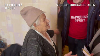 В Воронеже 84-летнюю узницу фашистских лагерей лишили отопления