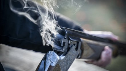 В Воронежской области мужчина расстрелял из ружья 2 человек