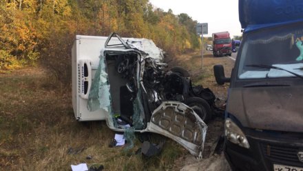 В лобовом ДТП на трассе в Воронежской области разбился 25-летний водитель
