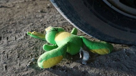 В Воронежской области водитель легковушки насмерть сбил 6-летнего мальчика