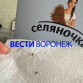 Жительница Воронежа купила в магазине рис с личинками