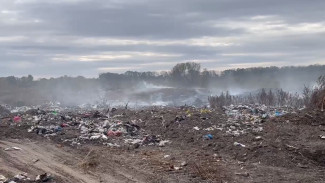 Воронежцы пожаловались на чудовищную свалку в Рамони