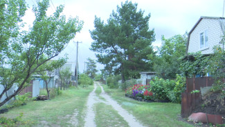 Бизнес под запретом. Что изменится для воронежских дачников с принятием нового закона