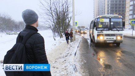Воронежский преподаватель попросил прокуратуру защитить студентов, считающих пассажиров