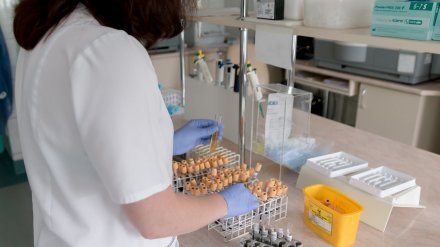 Власти рассказали, где ещё четверо воронежцев подхватили COVID-19
