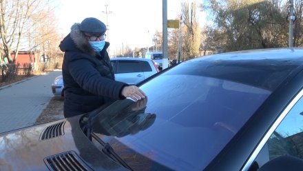 Житель Воронежской области отсудил 200 тыс. рублей за разбитый веткой Mercedes 