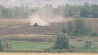 В Воронежской области приступили к севу технических культур