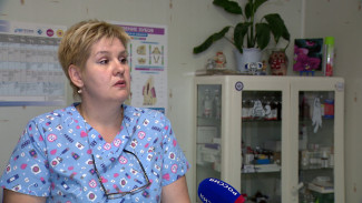 Ветеринар об убийстве собаки в воронежских Лисках: «Пса исполосовали и разрубили мышцы»